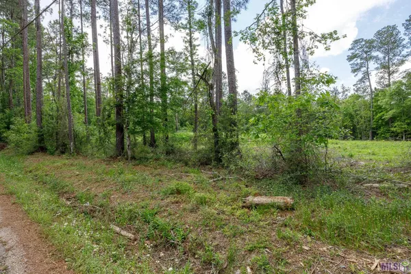 $48,000 | 3-a 3b & 4a Aydell Lane, French Settlement, LA 70733