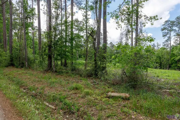 $48,000 | 3-a 3b & 4a Aydell Lane, French Settlement, LA 70733