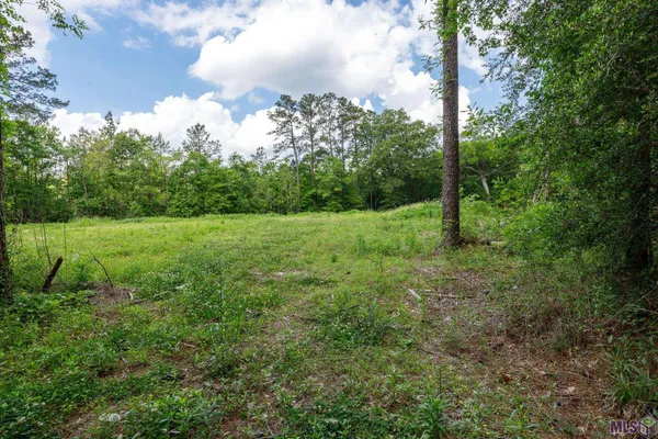 $48,000 | 3-a 3b & 4a Aydell Lane, French Settlement, LA 70733