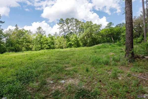 $48,000 | 3-a 3b & 4a Aydell Lane, French Settlement, LA 70733