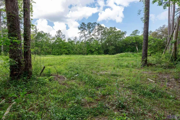 $48,000 | 3-a 3b & 4a Aydell Lane, French Settlement, LA 70733