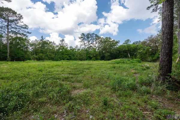 $48,000 | 3-a 3b & 4a Aydell Lane, French Settlement, LA 70733