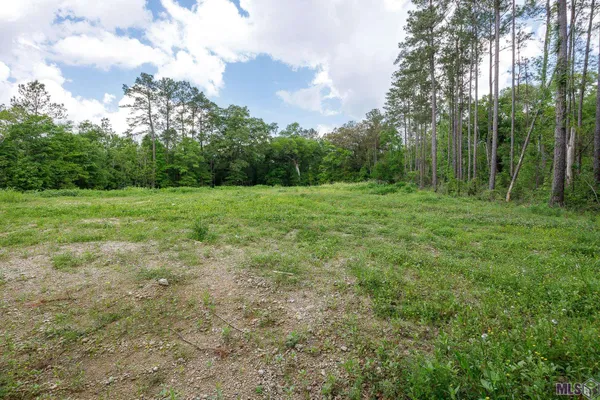 $48,000 | 3-a 3b & 4a Aydell Lane, French Settlement, LA 70733