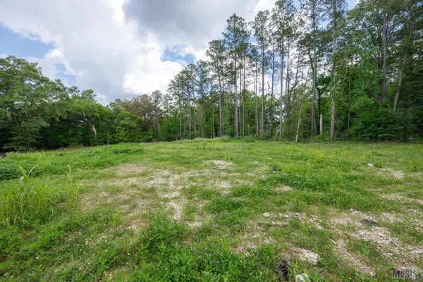 $48,000 | 3-a 3b & 4a Aydell Lane, French Settlement, LA 70733