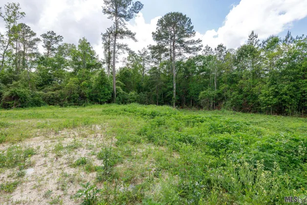 $48,000 | 3-a 3b & 4a Aydell Lane, French Settlement, LA 70733