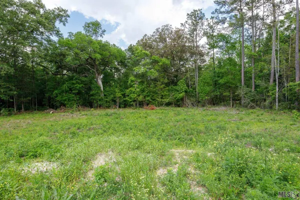 $48,000 | 3-a 3b & 4a Aydell Lane, French Settlement, LA 70733