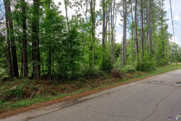 $48,000 | 3-a 3b & 4a Aydell Lane, French Settlement, LA 70733