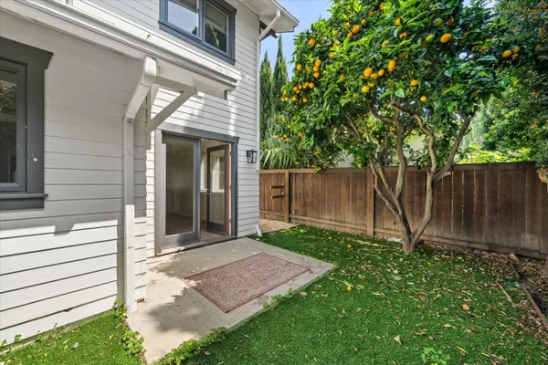 a view of a backyard with plants and large tree