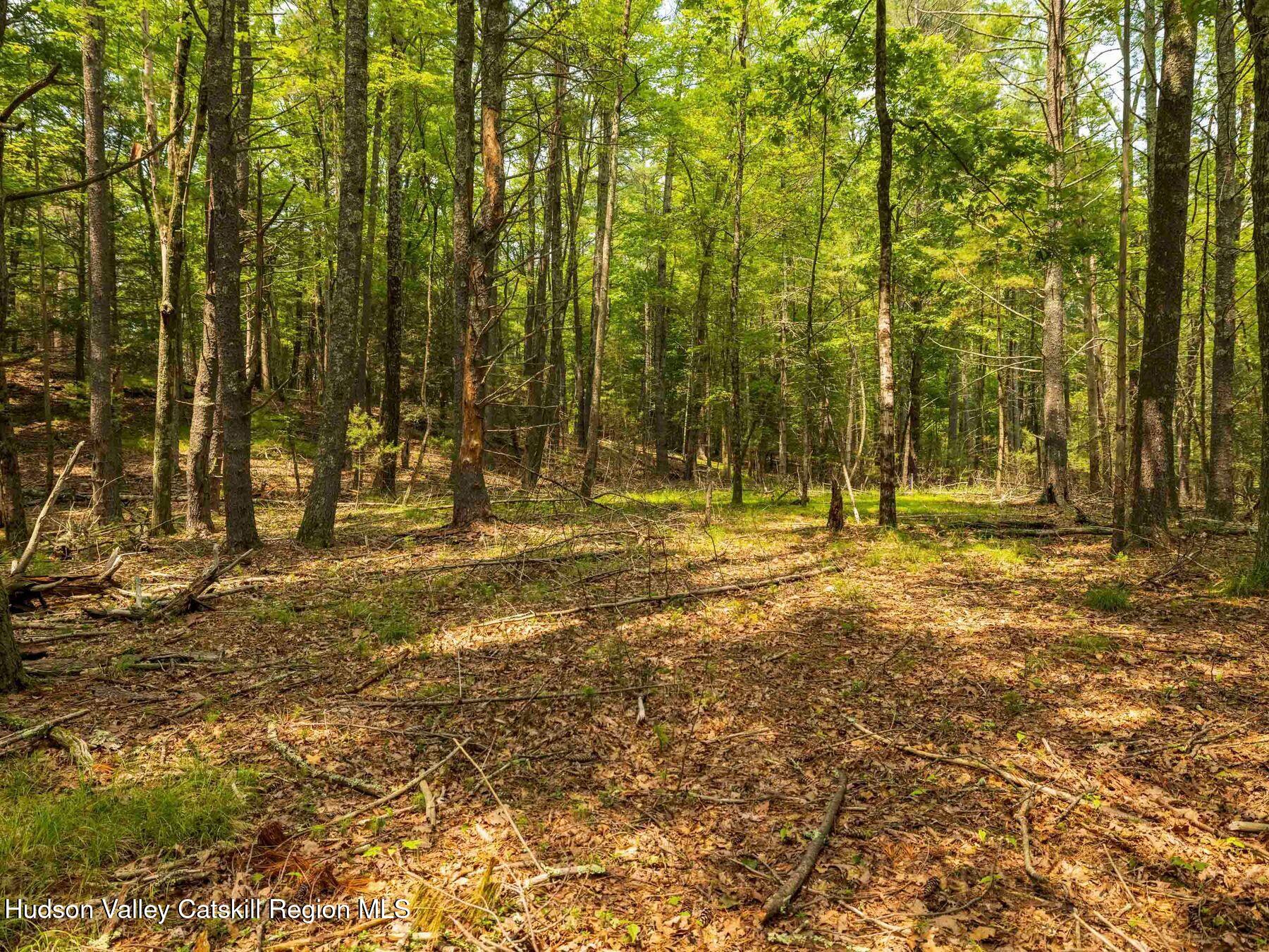 1 Church Road Kingston, NY 12401 - Photo 11 of 30 photo_online_003