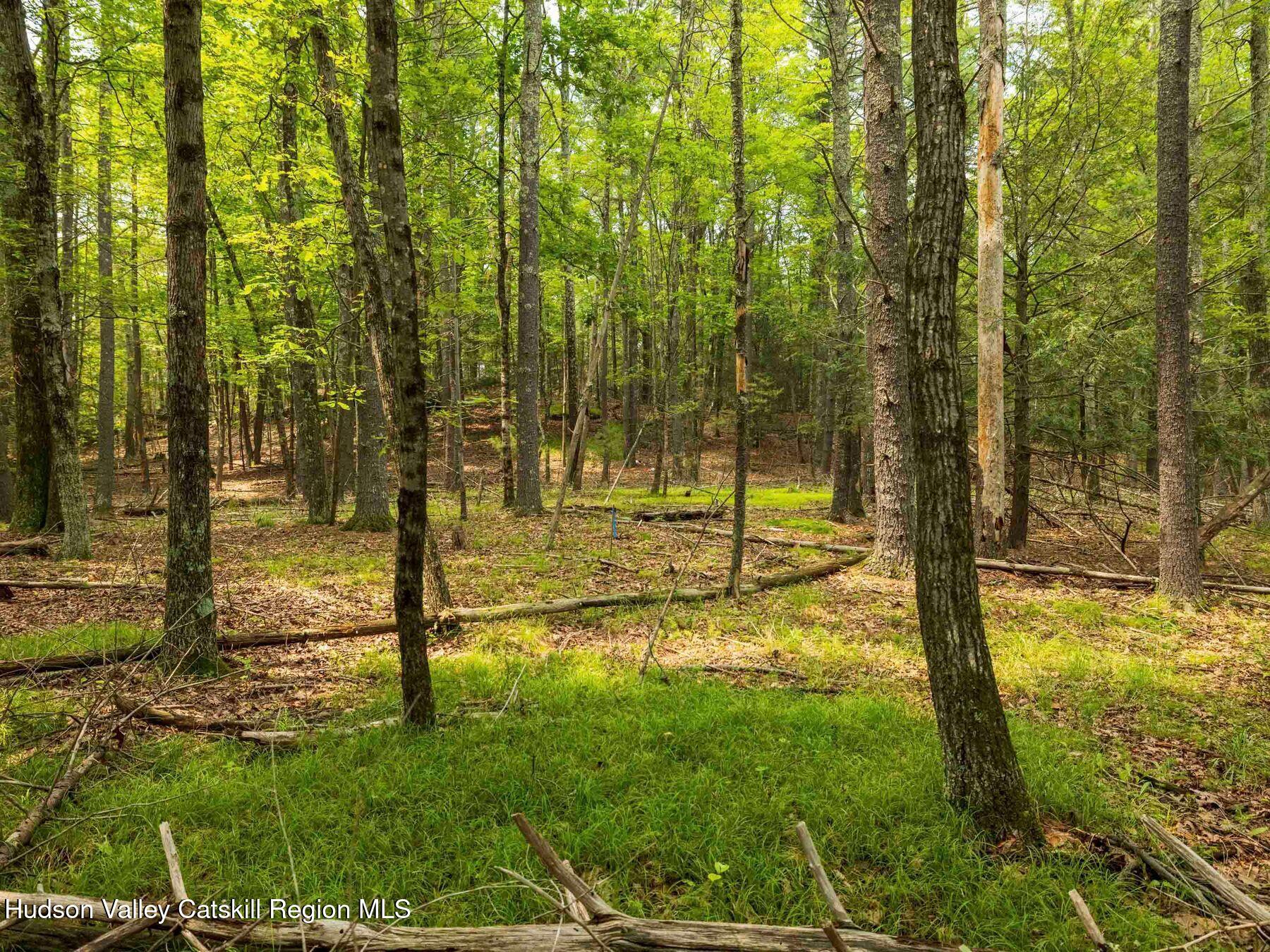 1 Church Road Kingston, NY 12401 - Photo 12 of 30 photo_online_002