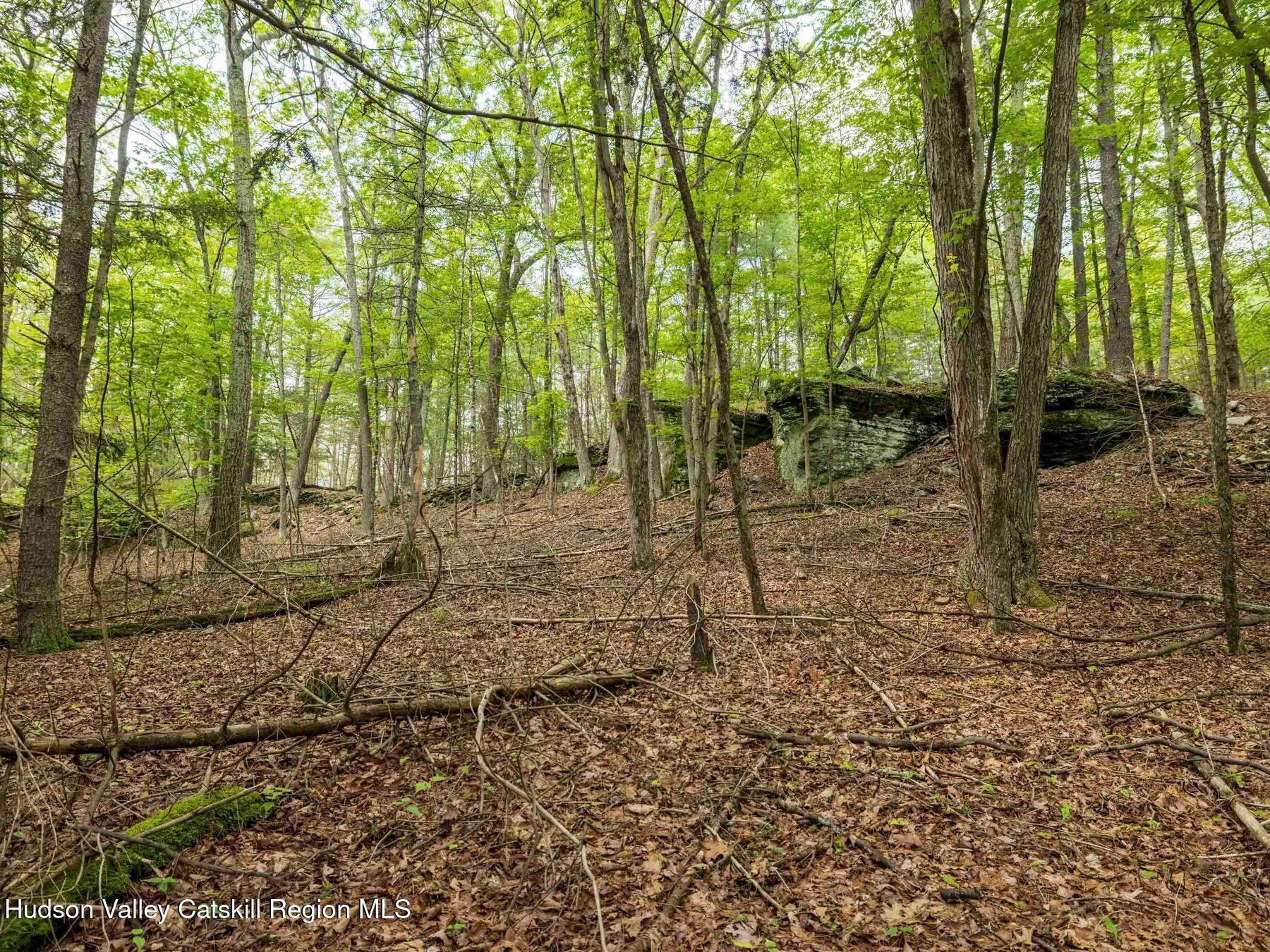 1 Church Road Kingston, NY 12401 - Photo 15 of 30 photo_online_005
