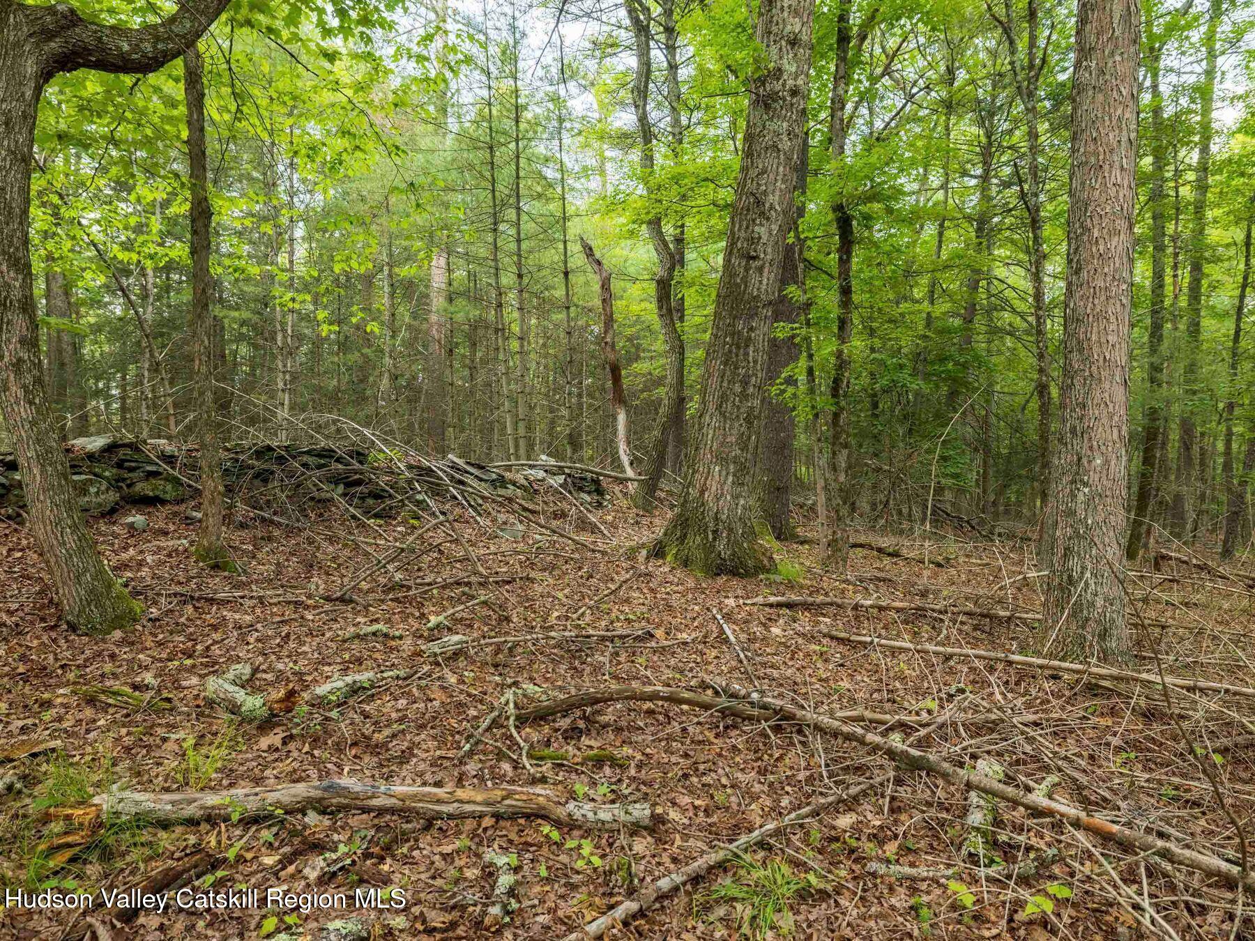 1 Church Road Kingston, NY 12401 - Photo 19 of 30 photo_online_009