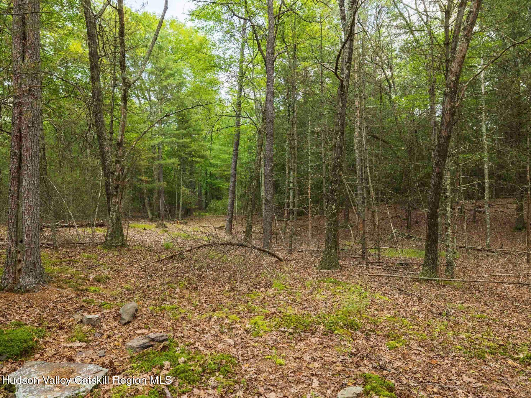 1 Church Road Kingston, NY 12401 - Photo 20 of 30 photo_online_014