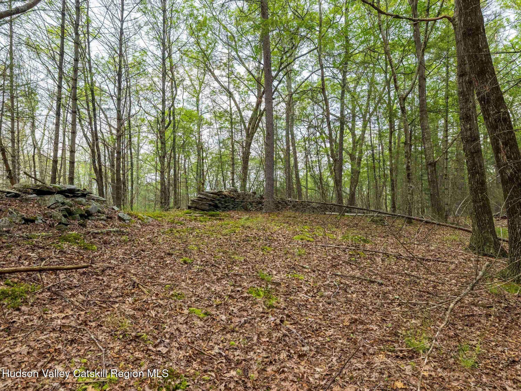 1 Church Road Kingston, NY 12401 - Photo 21 of 30 photo_online_013