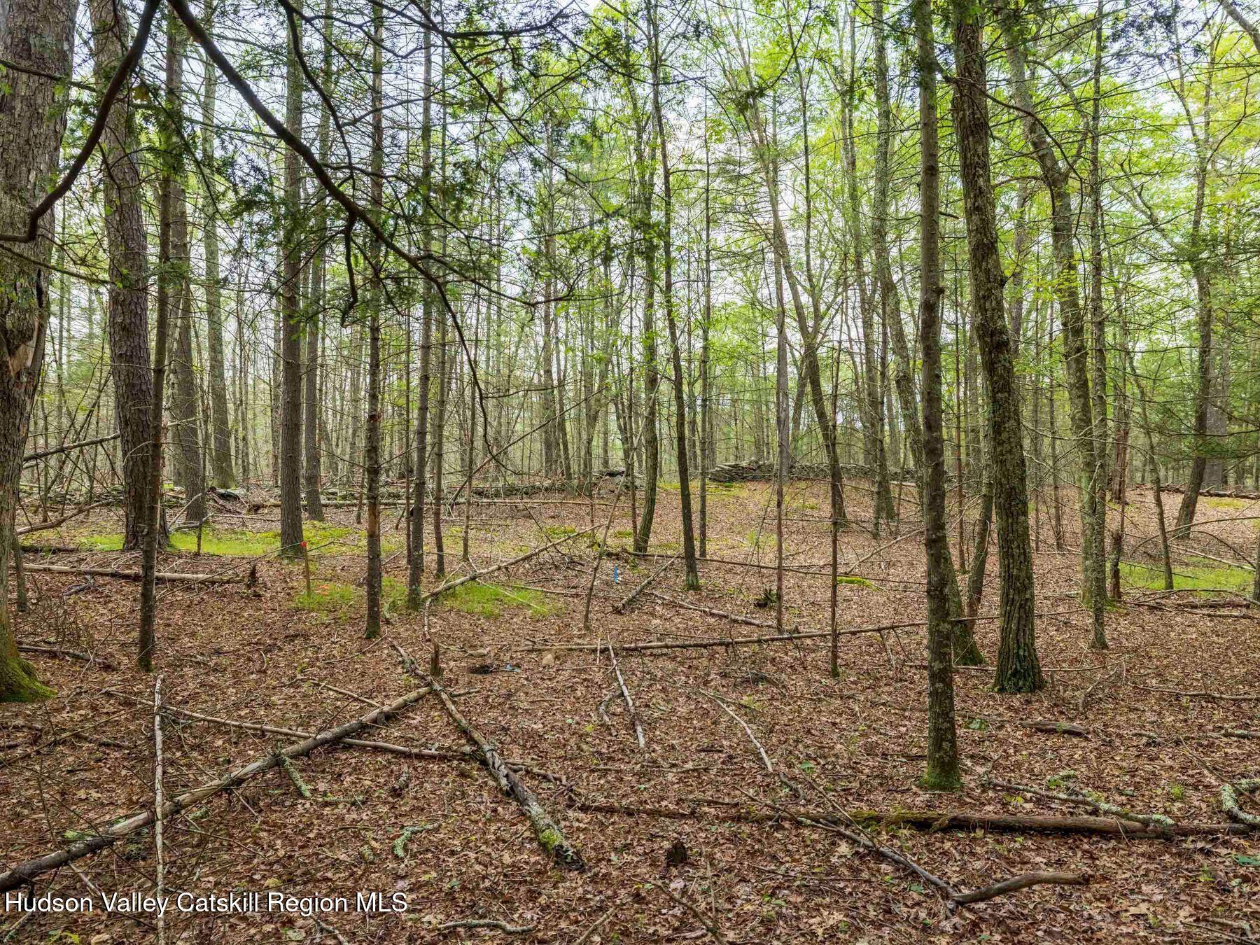 1 Church Road Kingston, NY 12401 - Photo 22 of 30 photo_online_012