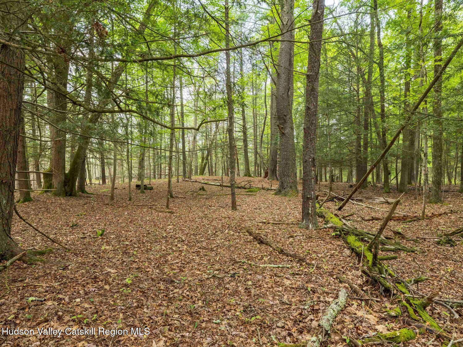 1 Church Road Kingston, NY 12401 - Photo 23 of 30 photo_online_011