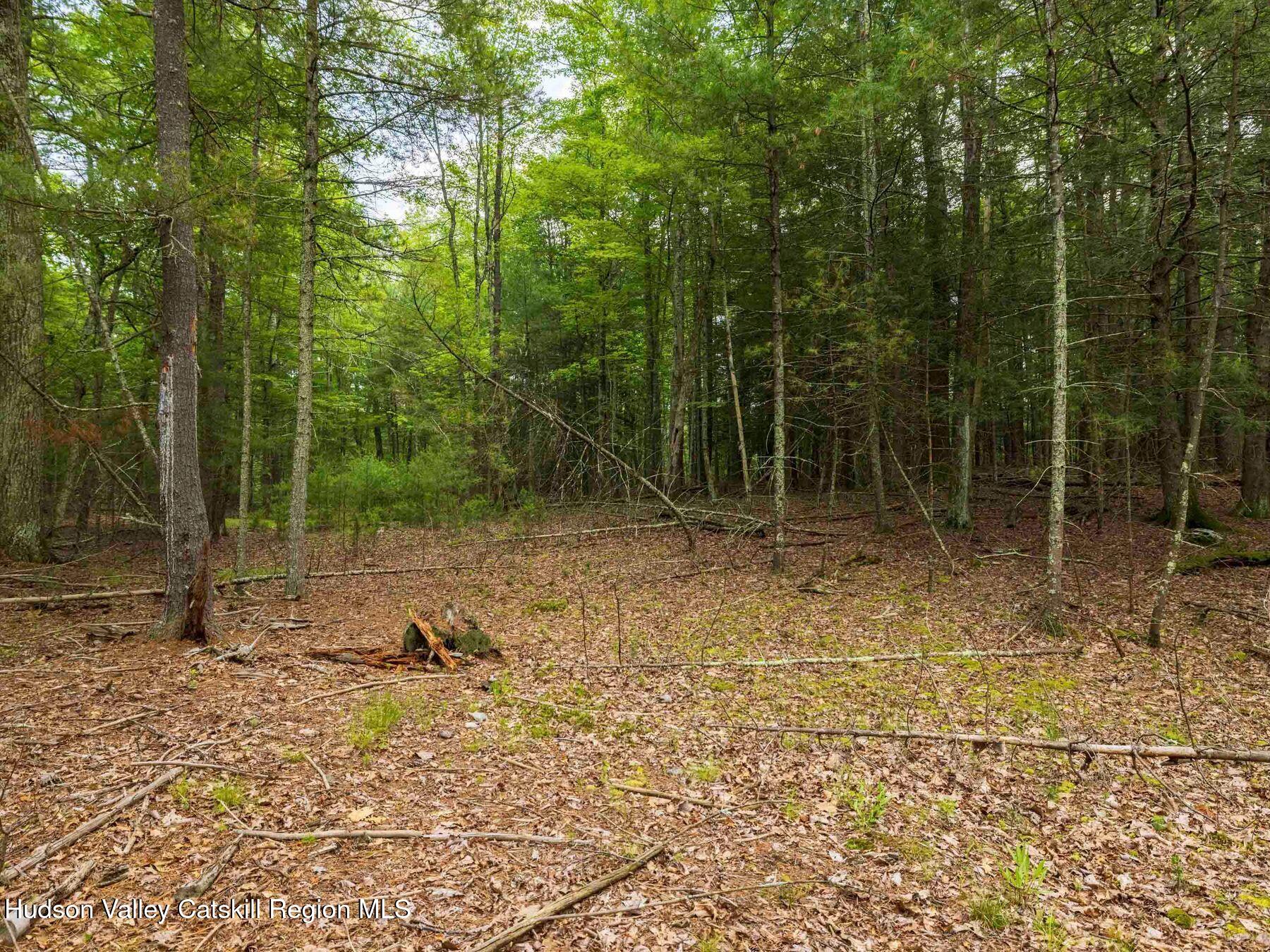 1 Church Road Kingston, NY 12401 - Photo 25 of 30 photo_online_015