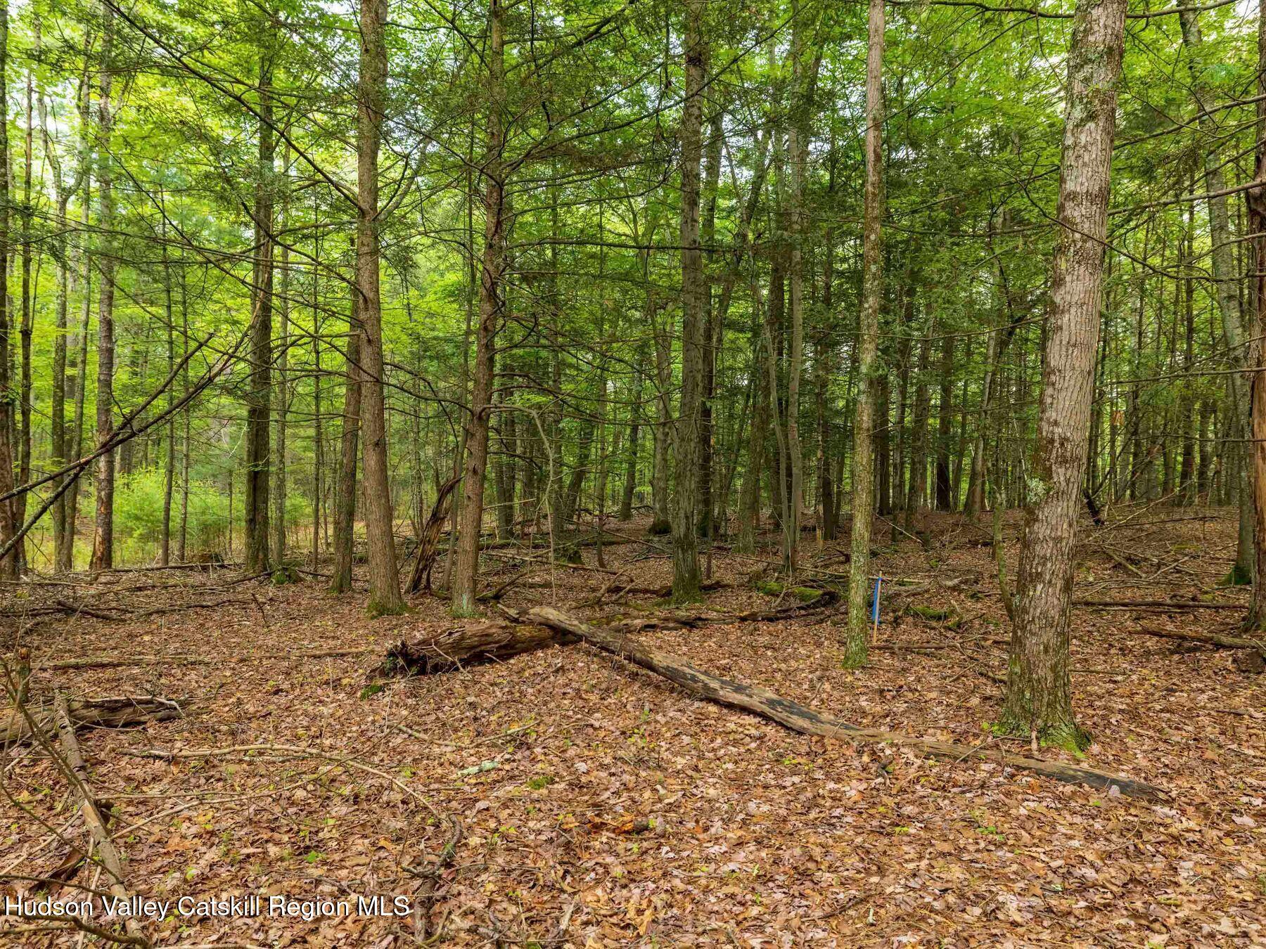 1 Church Road Kingston, NY 12401 - Photo 26 of 30 photo_online_016