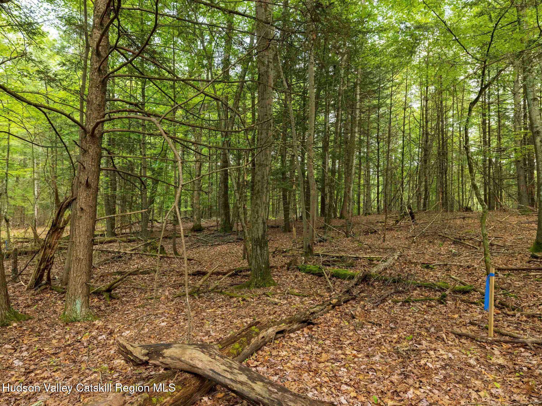 1 Church Road Kingston, NY 12401 - Photo 5 of 30 photo_online_017