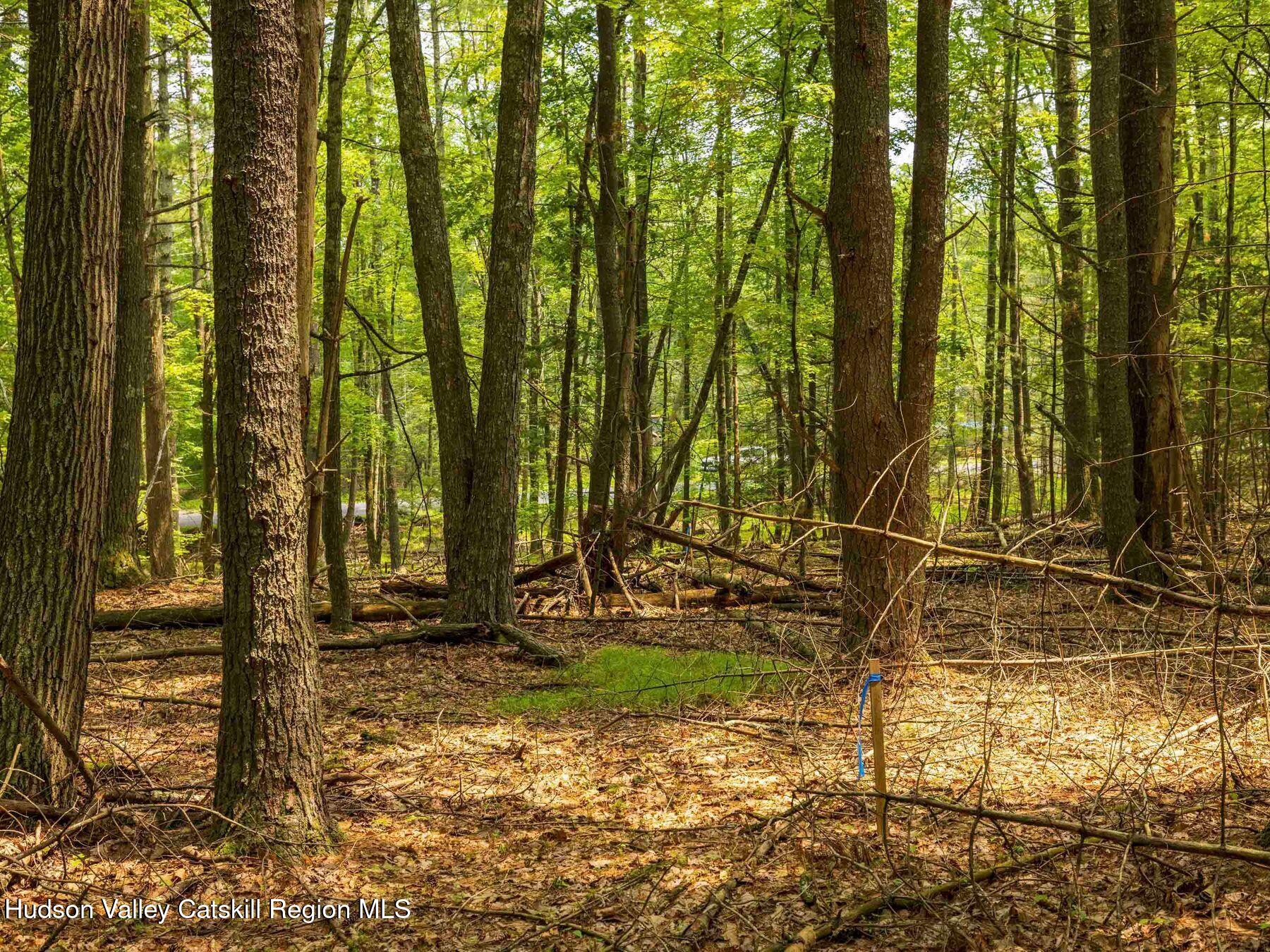 1 Church Road Kingston, NY 12401 - Photo 7 of 30 photo_online_021