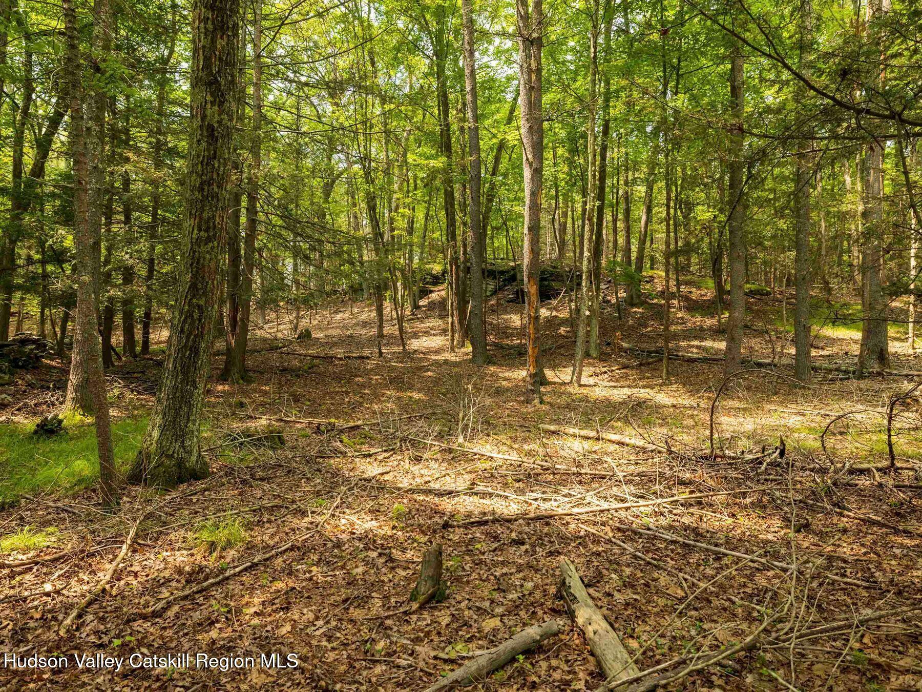 1 Church Road Kingston, NY 12401 - Photo 10 of 30 photo_online_004