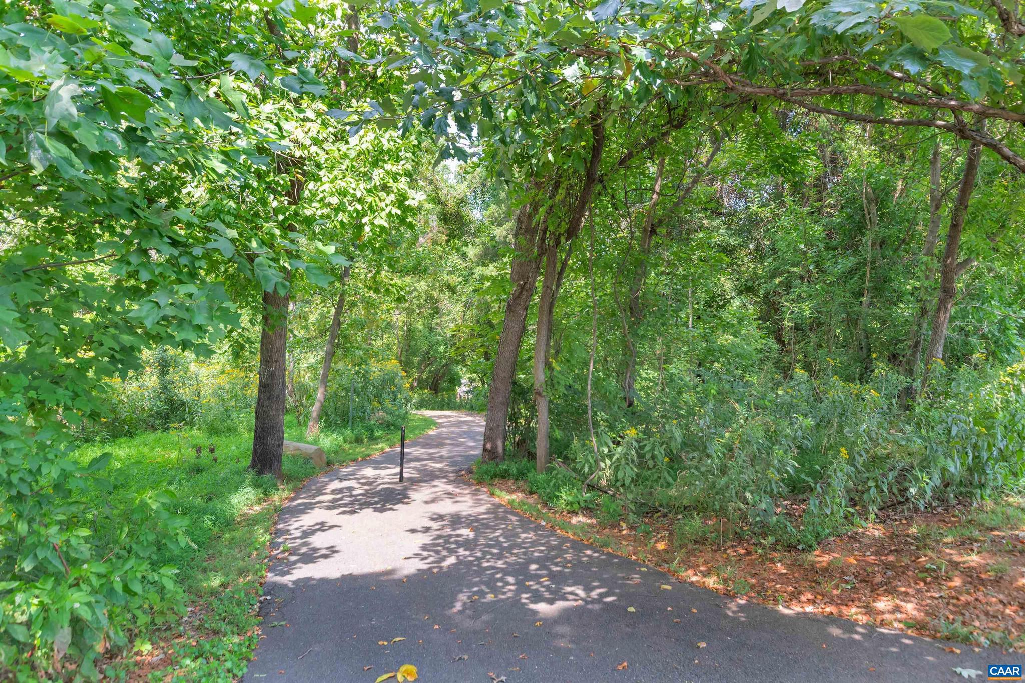 782 Merion Greene Charlottesville, VA 22901 - Photo 31 of 32 a view of a road with plants and trees