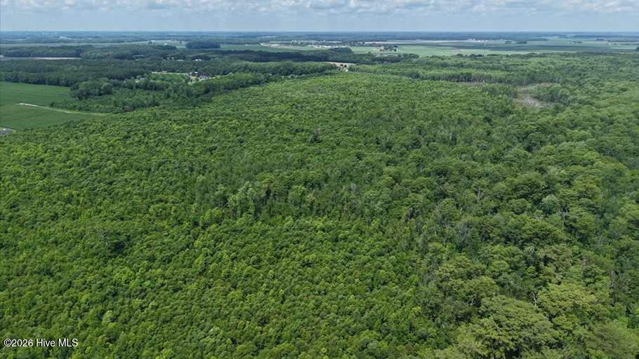 0 North River Road Camden, NC 27921 - Photo 32 of 50