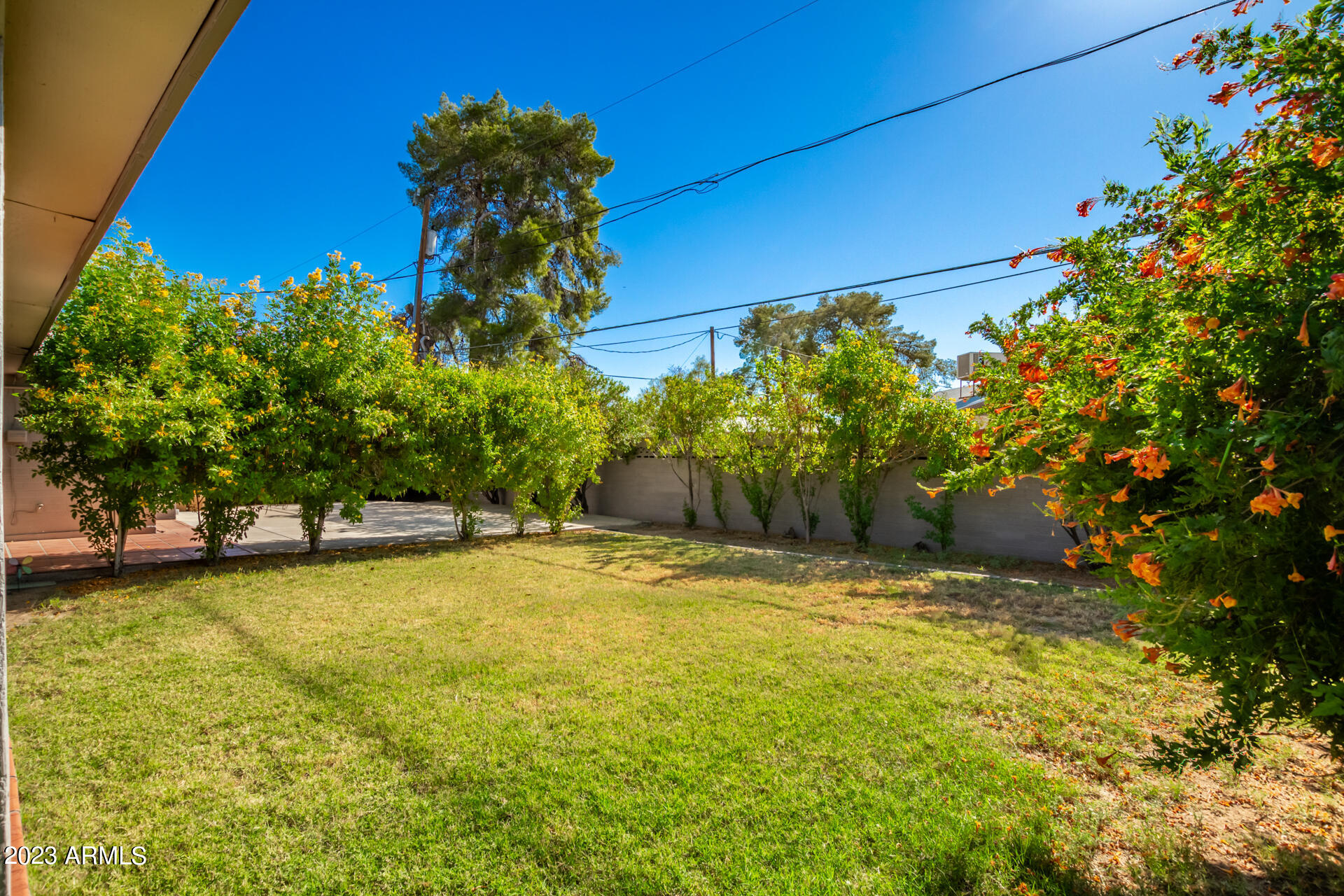 3453 East Presidio Road Phoenix, AZ 85032 - Photo 10 of 11 Backyard 2