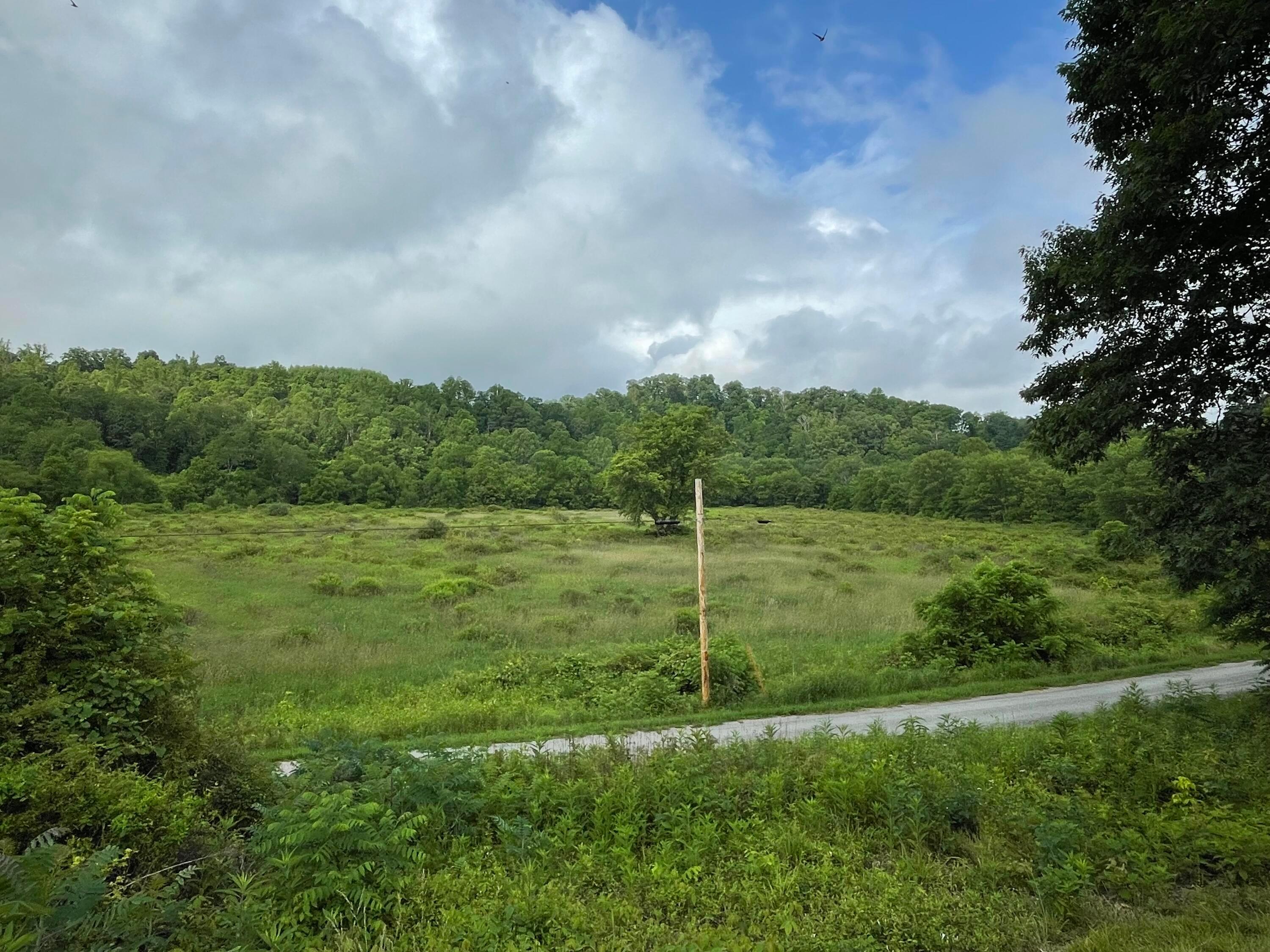 960 Rockcamp Road New Marshfield, OH 45766 - Photo 57 of 73 58) 72666-6a31ffe9a8be3