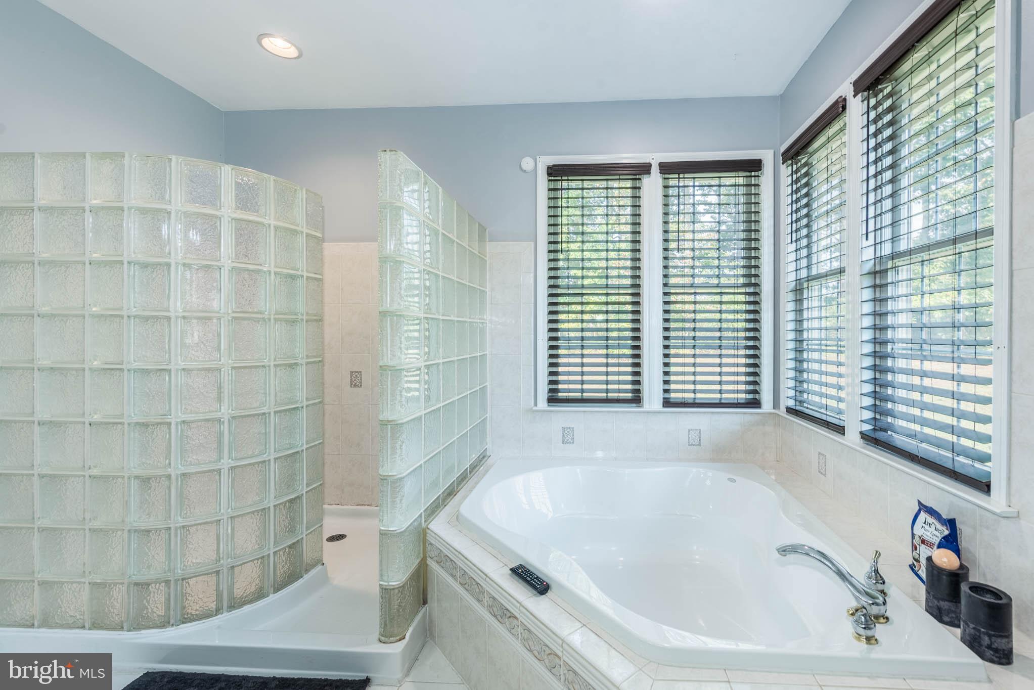 2623 Urey Road White Hall, MD 21161 - Photo 20 of 60 a bathroom with a bathtub and shower