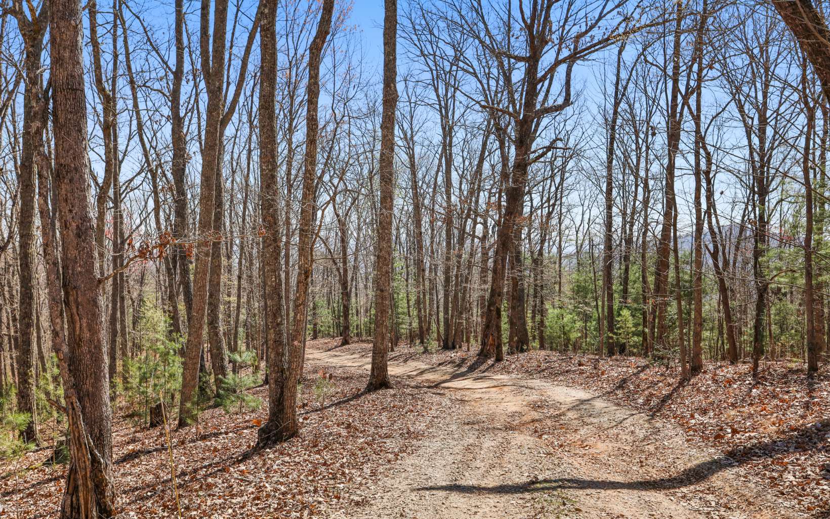 249 Ruby Ridge Lane Blairsville, GA 30512 - Photo 43 of 60 Additional View