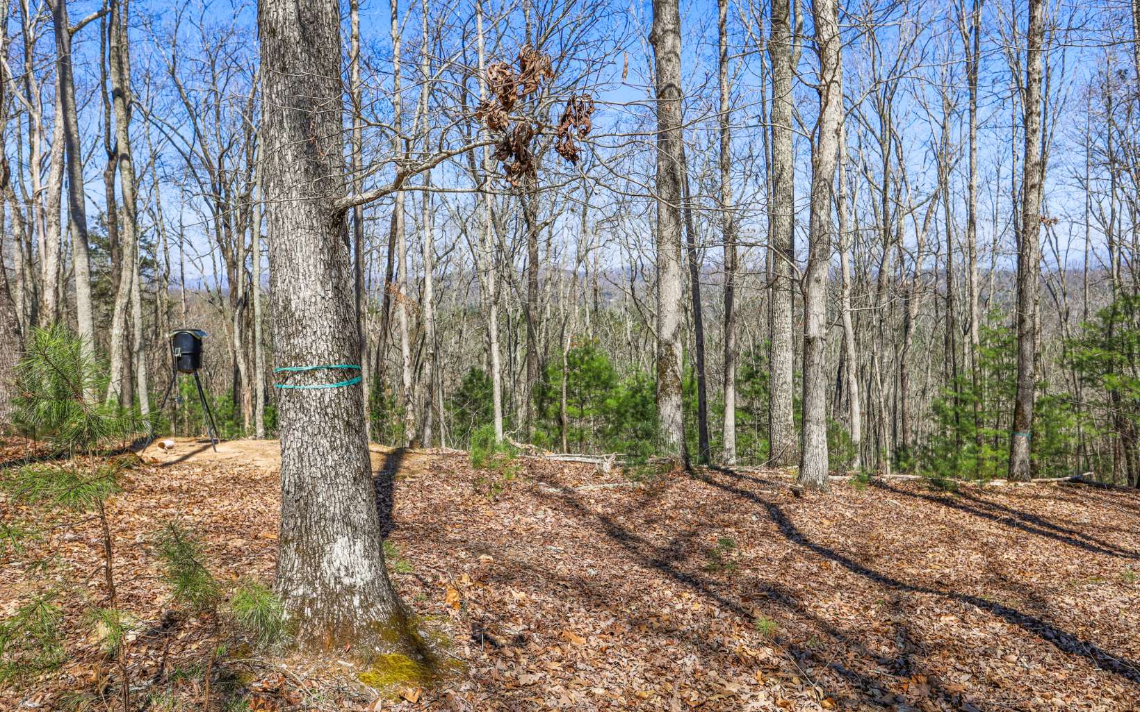 249 Ruby Ridge Lane Blairsville, GA 30512 - Photo 44 of 60 Additional View