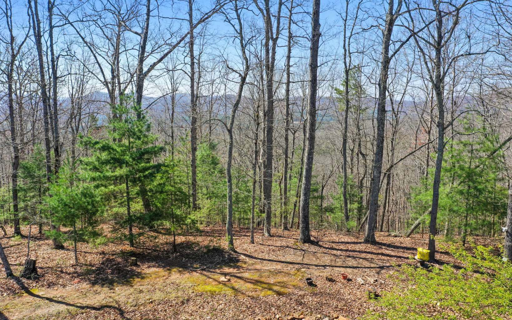 249 Ruby Ridge Lane Blairsville, GA 30512 - Photo 45 of 60 Additional View