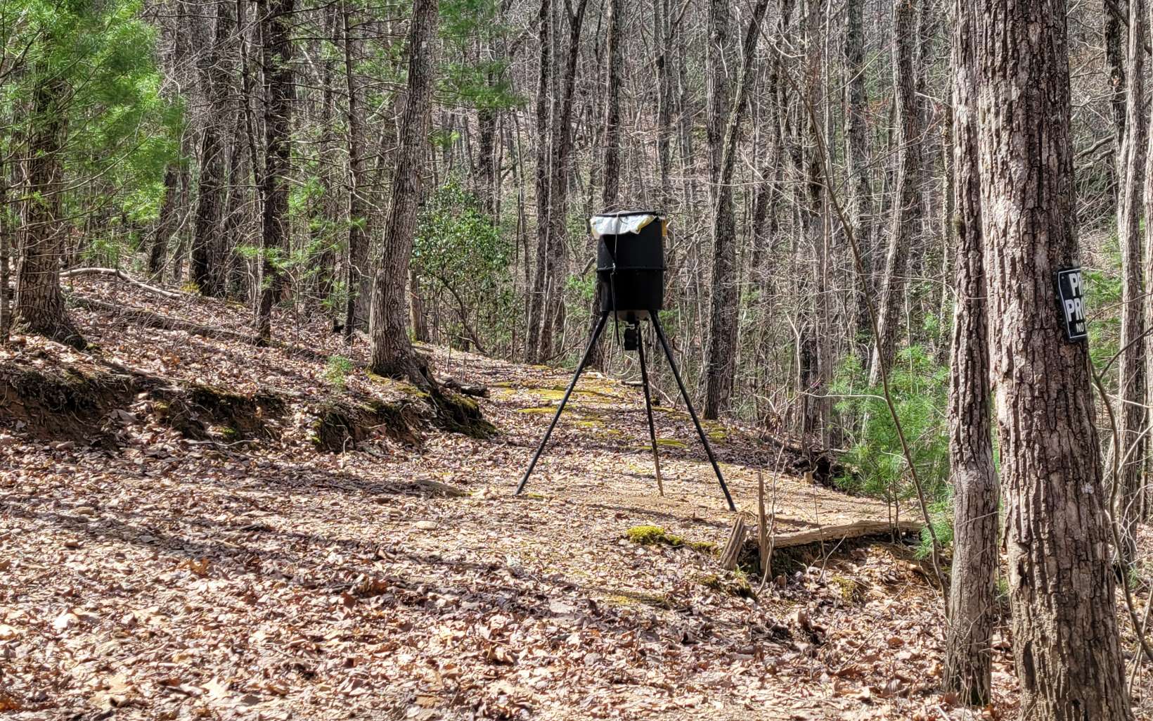249 Ruby Ridge Lane Blairsville, GA 30512 - Photo 50 of 60 Additional View