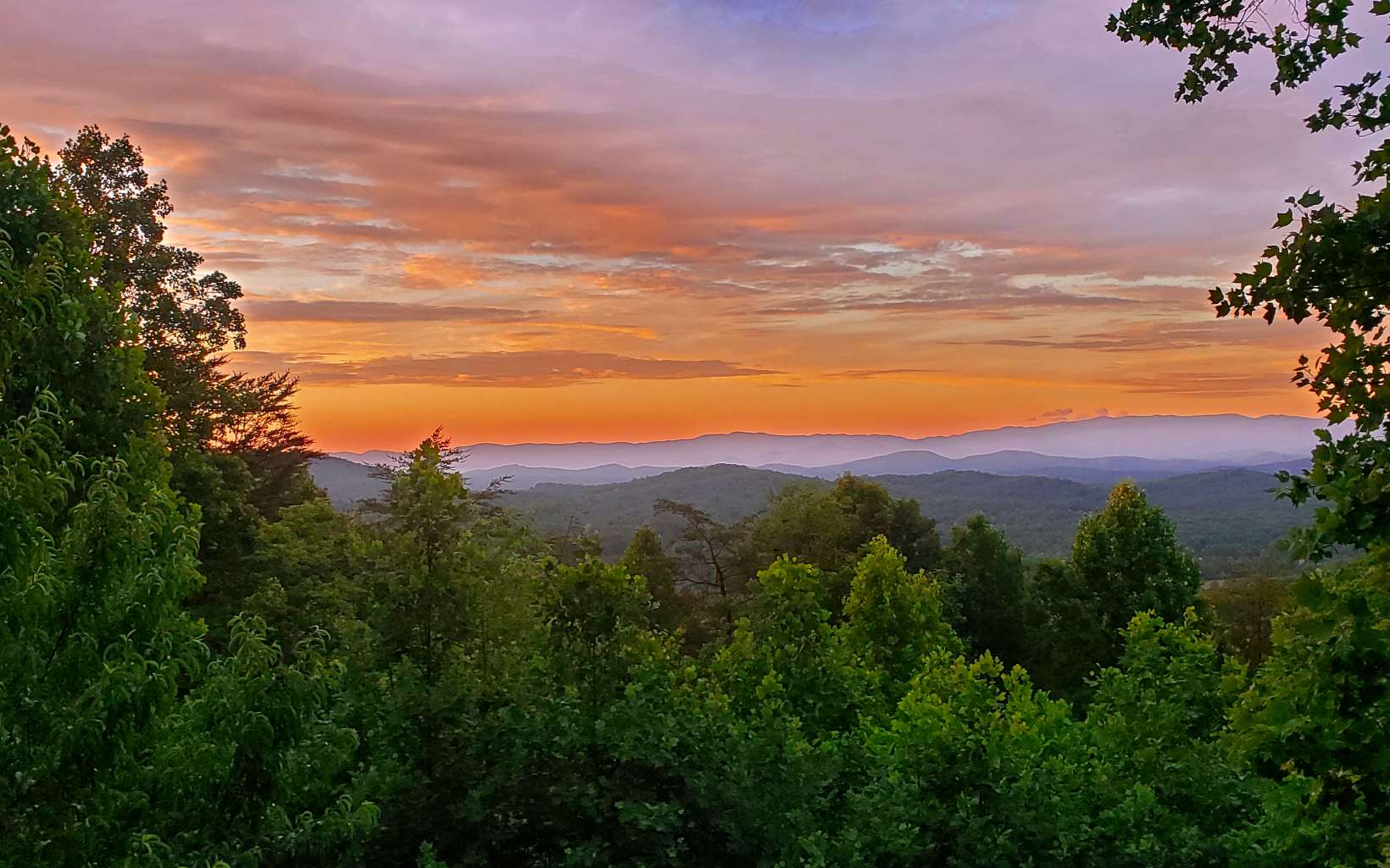 249 Ruby Ridge Lane Blairsville, GA 30512 - Photo 5 of 60 Additional View