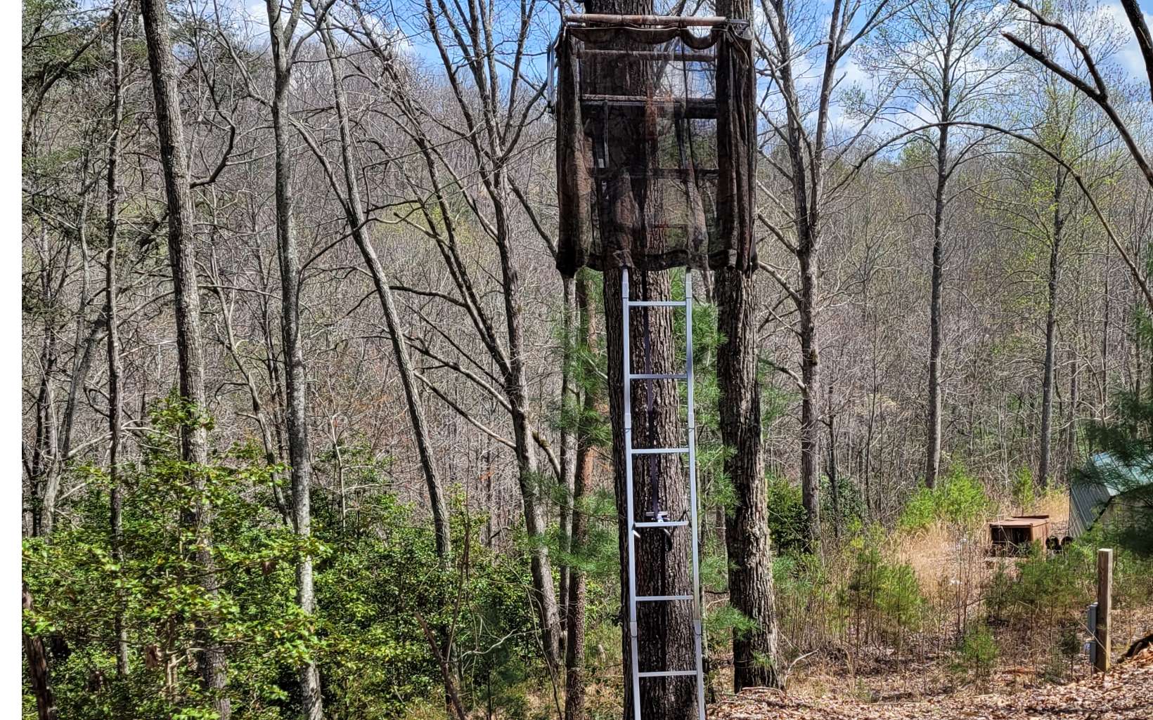 249 Ruby Ridge Lane Blairsville, GA 30512 - Photo 51 of 60 Additional View