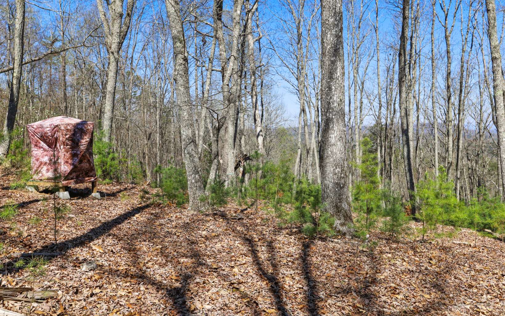 249 Ruby Ridge Lane Blairsville, GA 30512 - Photo 52 of 60 Additional View