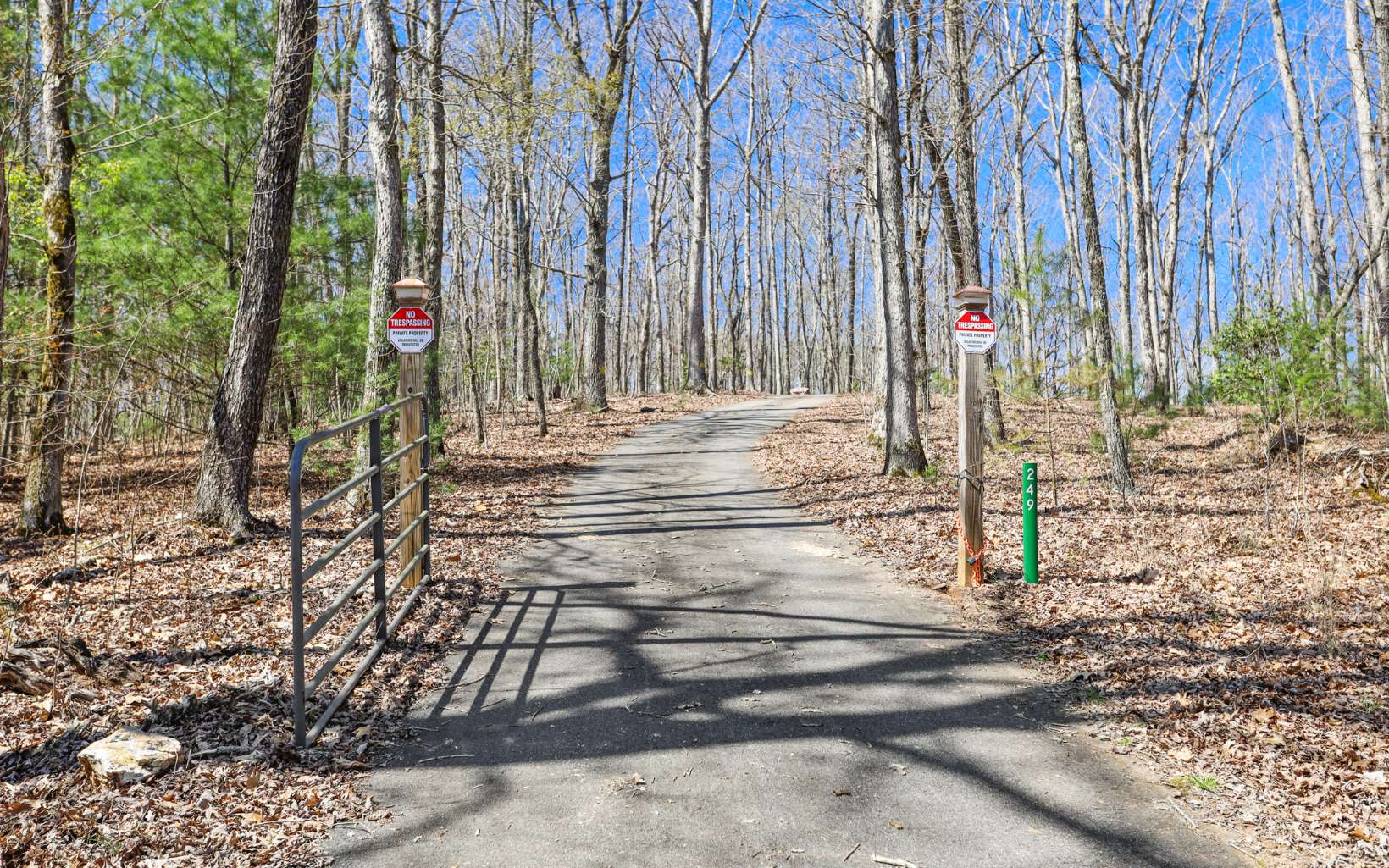 249 Ruby Ridge Lane Blairsville, GA 30512 - Photo 53 of 60 Additional View