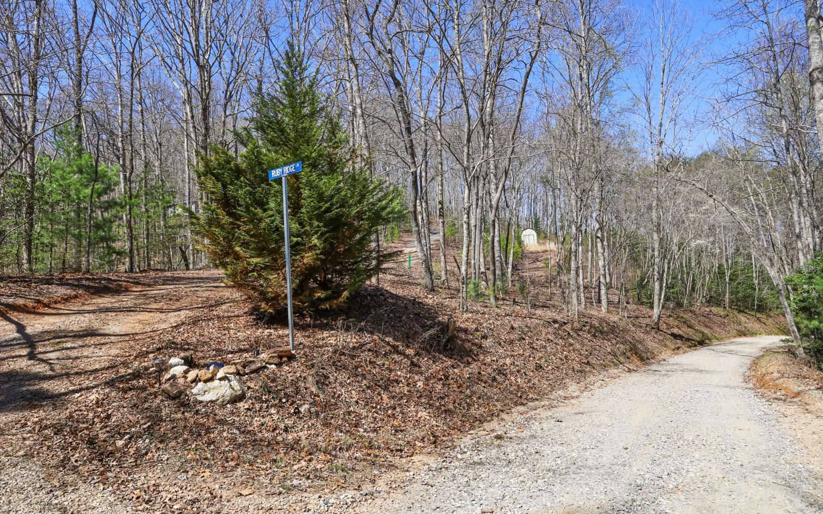 249 Ruby Ridge Lane Blairsville, GA 30512 - Photo 55 of 60 Additional View