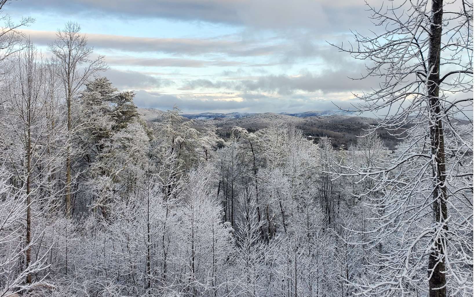 249 Ruby Ridge Lane Blairsville, GA 30512 - Photo 56 of 60 Additional View