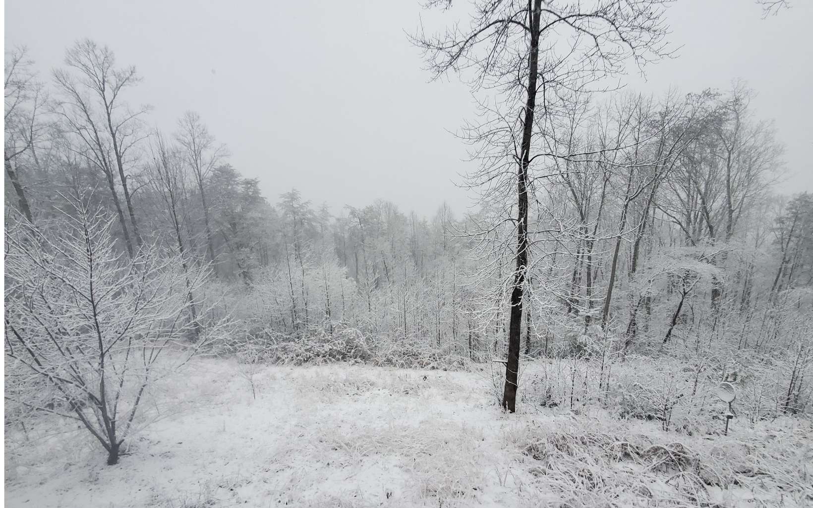 249 Ruby Ridge Lane Blairsville, GA 30512 - Photo 58 of 60 Additional View