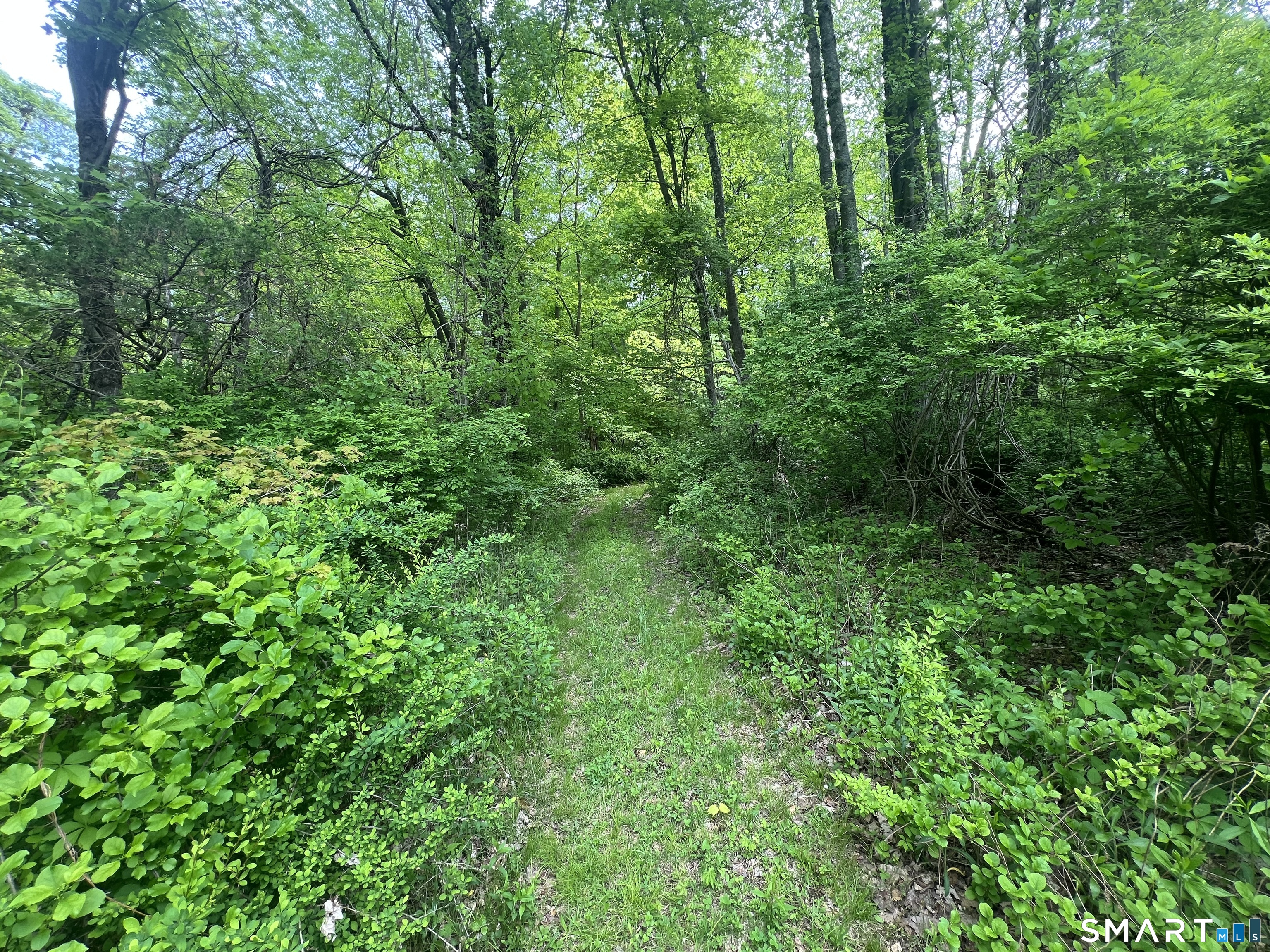 Spooner Hill Road Kent, CT 06757 - Photo 2 of 17