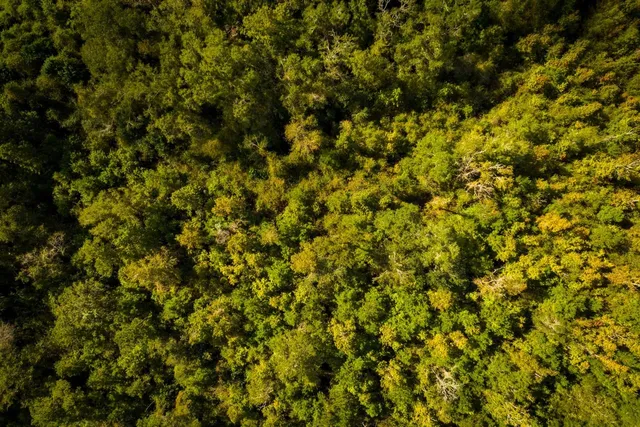 $625,000 | Xxxx Strong Road, Quincy, FL 32351