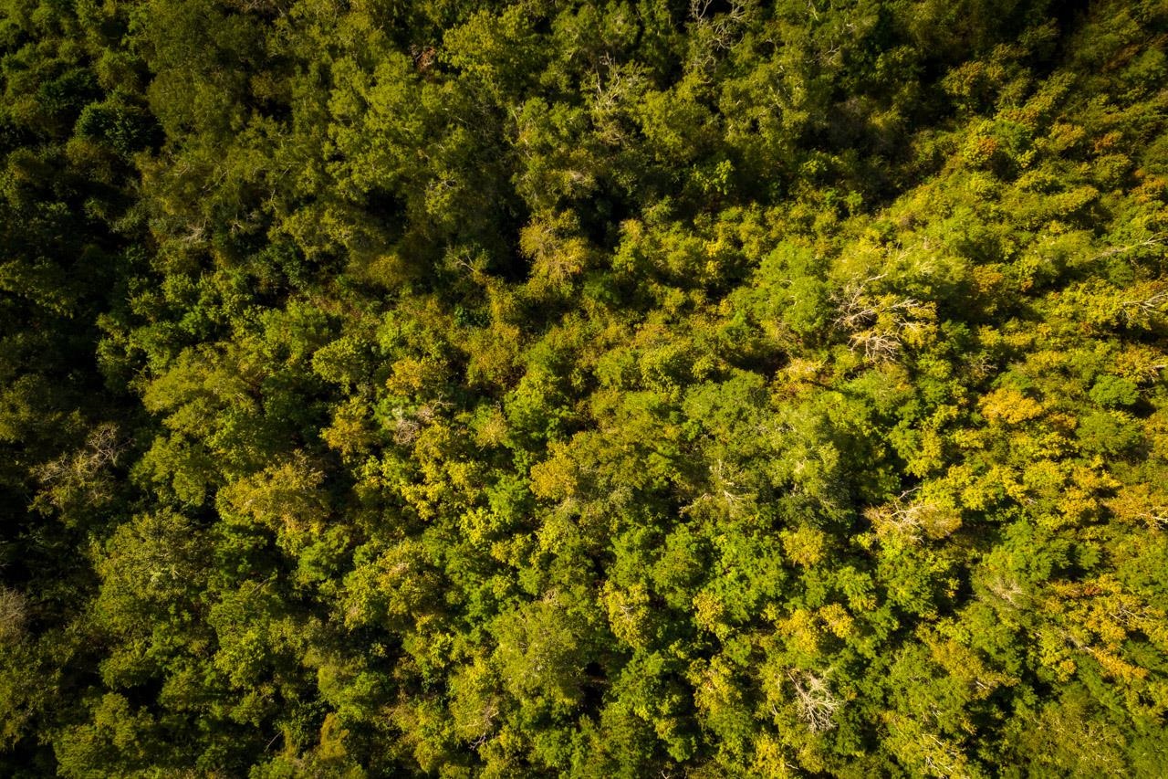 Xxxx Strong Road Quincy, FL 32351 - Photo 3 of 10