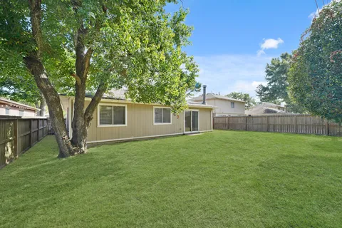 a backyard of a house with plants and large tree