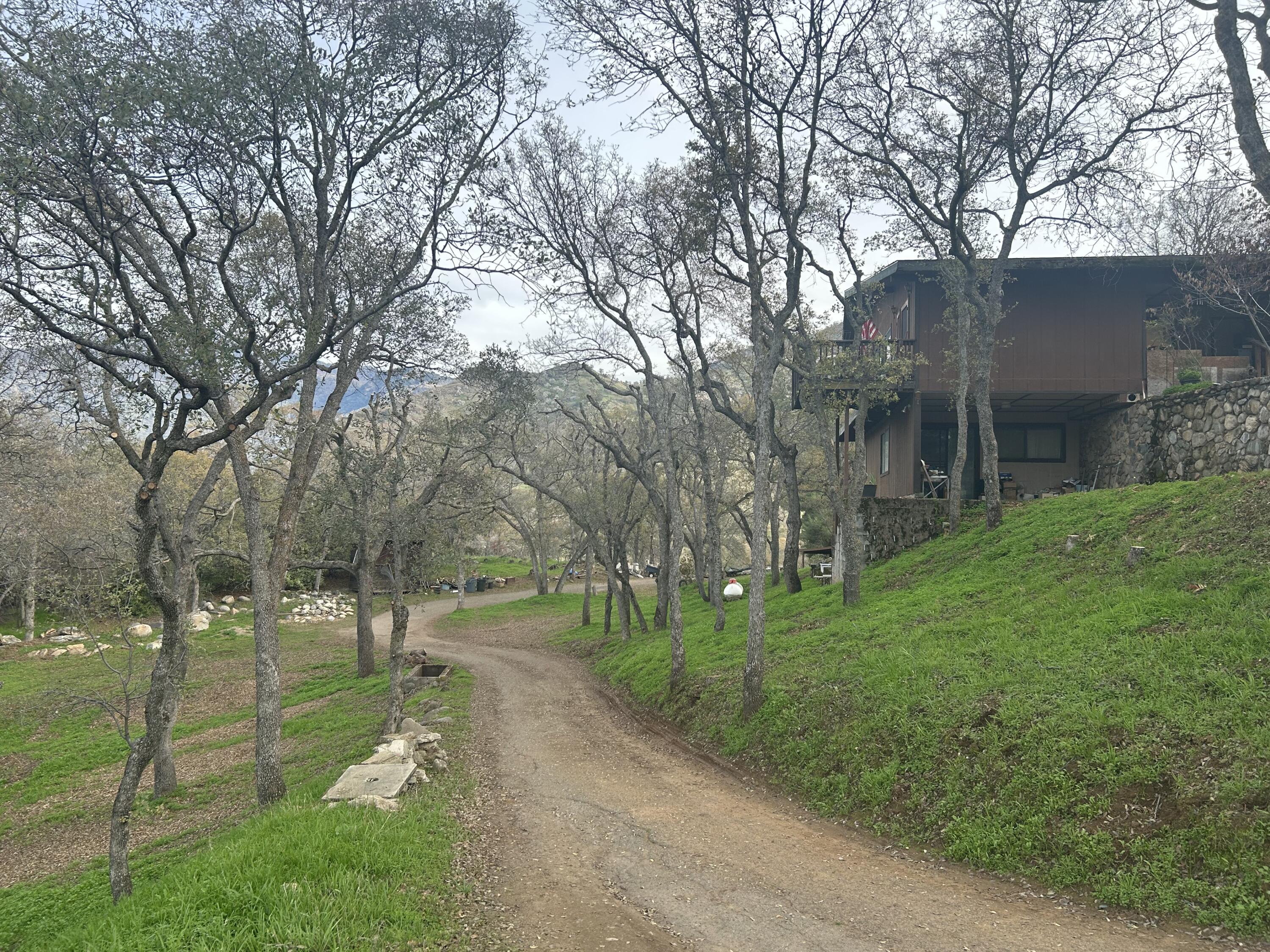 40838 Oak Ridge Drive Three Rivers, CA 93271 - Photo 51 of 51 a view of a park with large trees