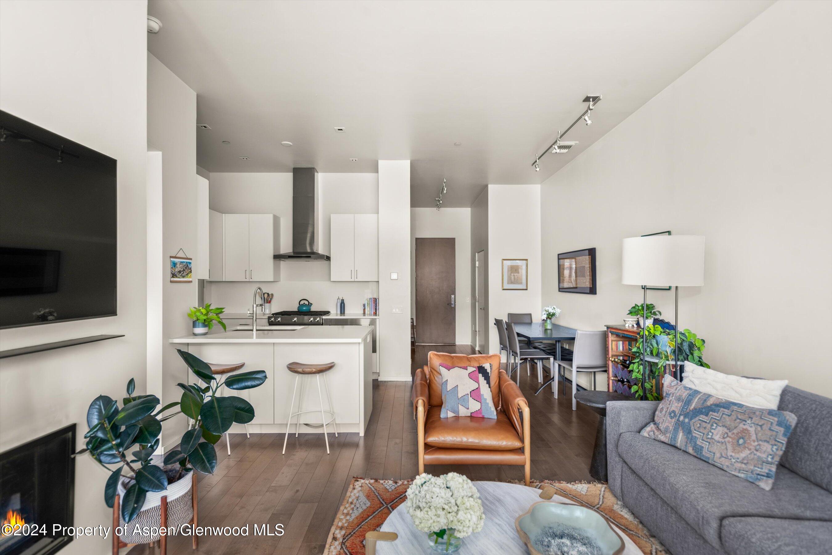 102 Evans Road, Unit 106 Basalt, CO 81621 - Photo 3 of 12 a living room with furniture a flat screen tv and a potted plant