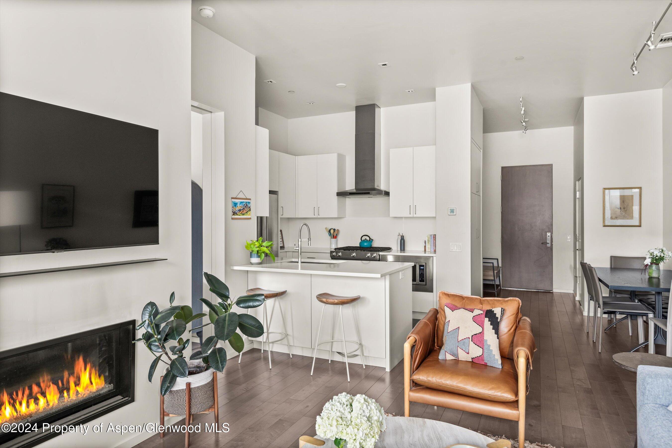 102 Evans Road, Unit 106 Basalt, CO 81621 - Photo 4 of 12 a living room with stainless steel appliances furniture a fireplace a flat screen tv and a kitchen view