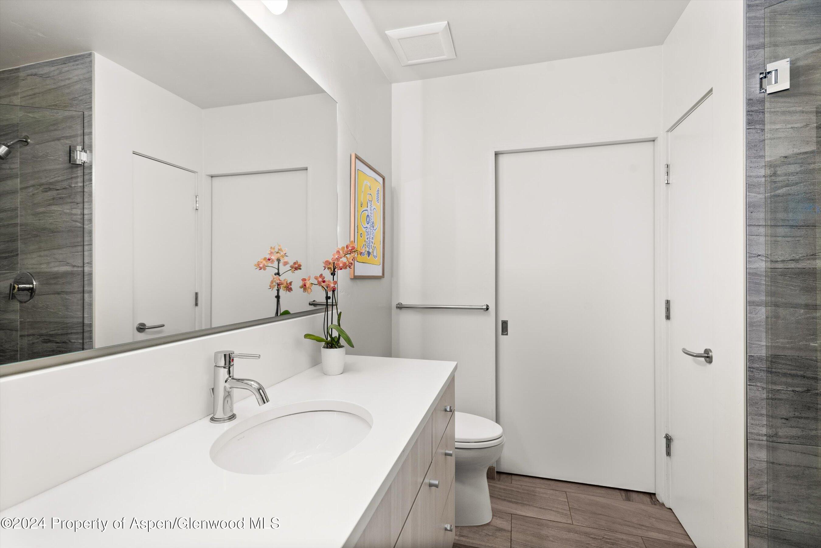 102 Evans Road, Unit 106 Basalt, CO 81621 - Photo 9 of 12 a bathroom with a granite countertop sink toilet and shower