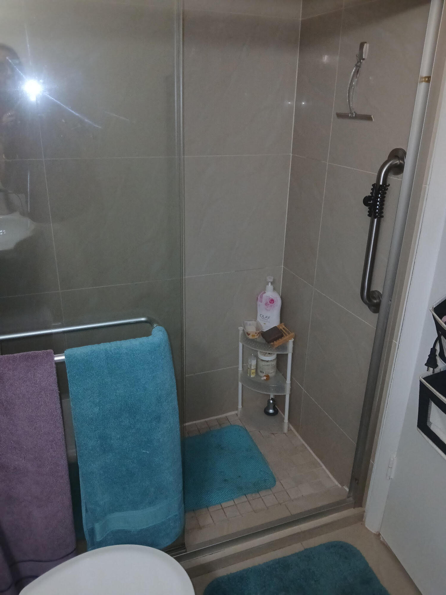 786 Flanders Q Delray Beach, FL 33484 - Photo 5 of 7 Flanders Q Primary bath shower